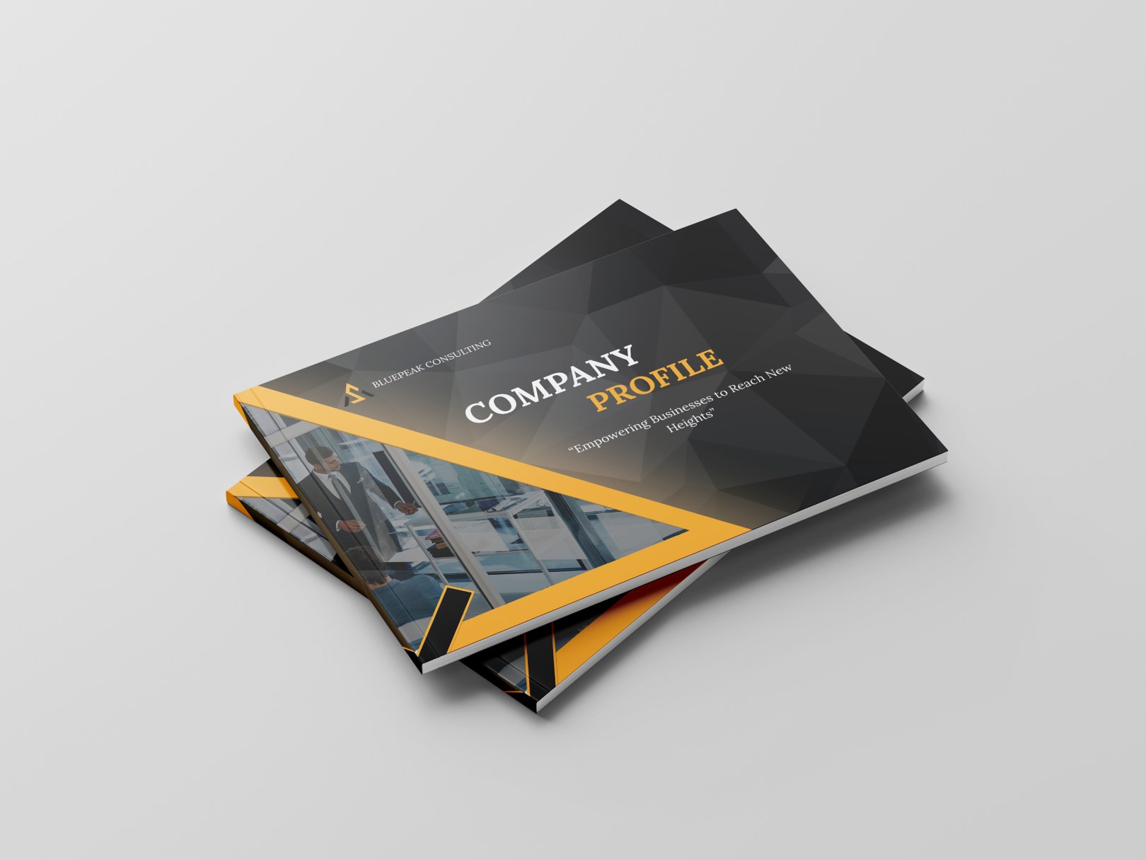 company profile 03 compressed 1766657300469